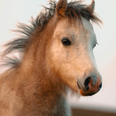 Image for choice number 3