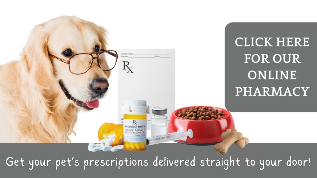 Website Banners (10)